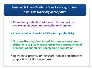 Climate change and sustainable intensification 