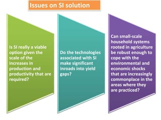 Climate change and sustainable intensification 