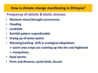Climate change and sustainable intensification 