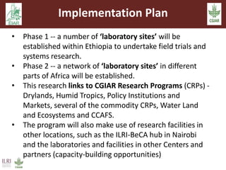 Implementation Plan 
• Phase 1 -- a number of ‘laboratory sites’ will be 
established within Ethiopia to undertake field trials and 
systems research. 
• Phase 2 -- a network of ‘laboratory sites’ in different 
parts of Africa will be established. 
• This research links to CGIAR Research Programs (CRPs) - 
Drylands, Humid Tropics, Policy Institutions and 
Markets, several of the commodity CRPs, Water Land 
and Ecosystems and CCAFS. 
• The program will also make use of research facilities in 
other locations, such as the ILRI-BeCA hub in Nairobi 
and the laboratories and facilities in other Centers and 
partners (capacity-building opportunities) 
 