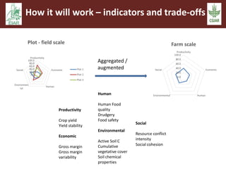 How it will work – indicators and trade-offs 
Productivity 
100.0 
80.0 
60.0 
40.0 
20.0 
0.0 
Economic 
Human 
Social 
Environmen 
tal 
Plot - field scale 
Plot 1 
Plot 2 
Plot 3 
Farm scale 
Productivity 
100.0 
80.0 
60.0 
40.0 
20.0 
0.0 
Economic 
Social 
Environmental Human 
Aggregated / 
augmented 
Productivity 
Crop yield 
Yield stability 
Economic 
Gross margin 
Gross margin 
variability 
Human 
Human Food 
quality 
Drudgery 
Food safety 
Environmental 
Active Soil C 
Cumulative 
vegetative cover 
Soil chemical 
properties 
Social 
Resource conflict 
intensity 
Social cohesion 
 