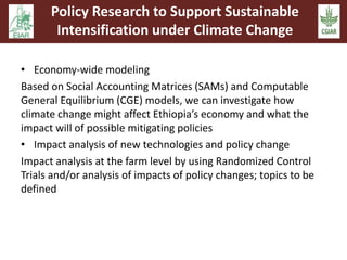 Policy Research to Support Sustainable 
Intensification under Climate Change 
• Economy-wide modeling 
Based on Social Accounting Matrices (SAMs) and Computable 
General Equilibrium (CGE) models, we can investigate how 
climate change might affect Ethiopia’s economy and what the 
impact will of possible mitigating policies 
• Impact analysis of new technologies and policy change 
Impact analysis at the farm level by using Randomized Control 
Trials and/or analysis of impacts of policy changes; topics to be 
defined 
Page 34 
 
