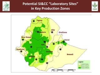 Sustainable intensification and climate change: An EARS-CGIAR Mega-program initiative in support of the Government of Ethiopia and the African Union