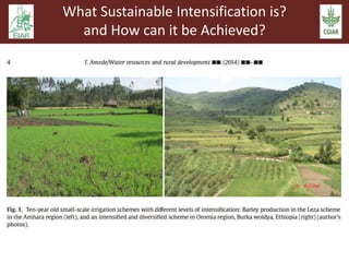 Sustainable intensification and climate change: An EARS-CGIAR Mega-program initiative in support of the Government of Ethiopia and the African Union
