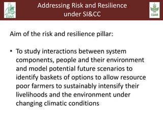 Sustainable intensification and climate change: An EARS-CGIAR Mega-program initiative in support of the Government of Ethiopia and the African Union
