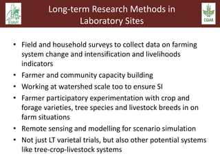 Sustainable intensification and climate change: An EARS-CGIAR Mega-program initiative in support of the Government of Ethiopia and the African Union