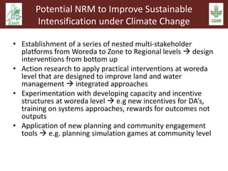 Sustainable intensification and climate change: An EARS-CGIAR Mega-program initiative in support of the Government of Ethiopia and the African Union