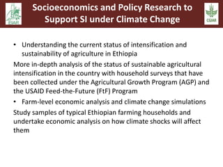 Sustainable intensification and climate change: An EARS-CGIAR Mega-program initiative in support of the Government of Ethiopia and the African Union