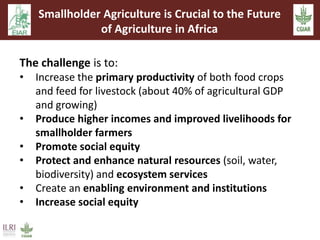 Sustainable intensification and climate change: An EARS-CGIAR Mega-program initiative in support of the Government of Ethiopia and the African Union