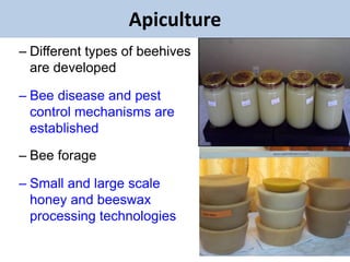 EIAR experience on potential interventions in livestock value chains development 