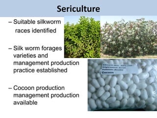 EIAR experience on potential interventions in livestock value chains development 