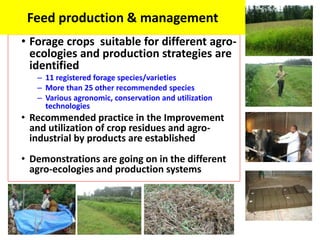 EIAR experience on potential interventions in livestock value chains development 