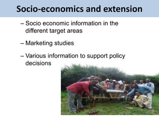 EIAR experience on potential interventions in livestock value chains development 
