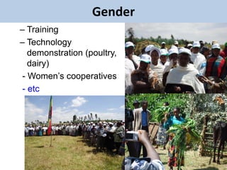 EIAR experience on potential interventions in livestock value chains development 