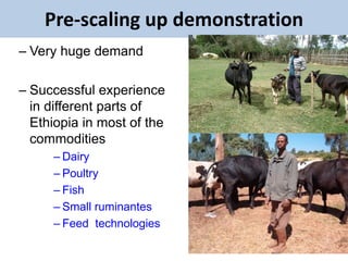 EIAR experience on potential interventions in livestock value chains development 