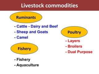 EIAR experience on potential interventions in livestock value chains development 