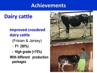 EIAR experience on potential interventions in livestock value chains development 