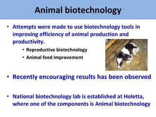 Experience at EIAR on Dairy Research and Development in Ethiopia