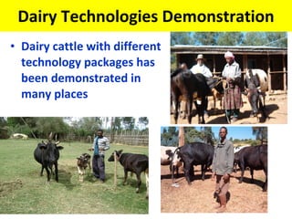 Experience at EIAR on Dairy Research and Development in Ethiopia