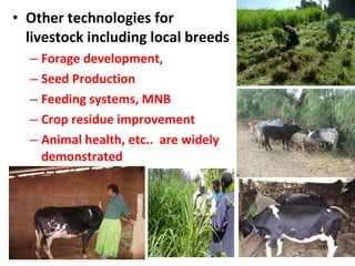 Experience at EIAR on Dairy Research and Development in Ethiopia