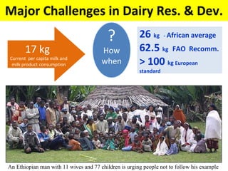 Experience at EIAR on Dairy Research and Development in Ethiopia