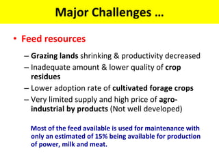 Experience at EIAR on Dairy Research and Development in Ethiopia