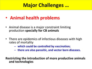 Experience at EIAR on Dairy Research and Development in Ethiopia