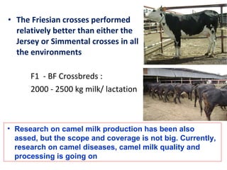 Experience at EIAR on Dairy Research and Development in Ethiopia