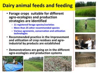 Experience at EIAR on Dairy Research and Development in Ethiopia