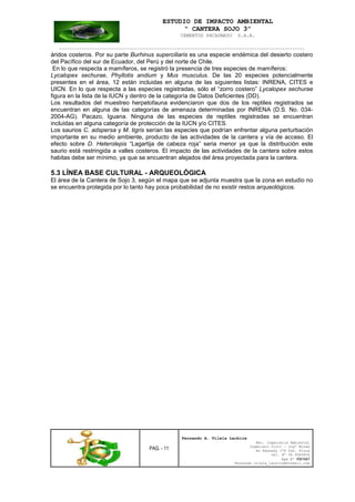 ESTUDIO DE IMPACTO AMBIENTAL
“ CANTERA SOJO 3”
CEMENTOS PACASMAYO S.A.A.
--------------------------------------------------------------------------------------------------
PAG. - 11
Fernando A. Vilela Lachira
Msc. Ingeniería Ambiental
Ingeniero Civil – Ingº Minas
Av Kennedy 178 Urb. Piura
Cel. Nº 96 9585856
Rpm Nº #261667
Fernando vilela_lachira@hotmail.com
áridos costeros. Por su parte Burhinus superciliaris es una especie endémica del desierto costero
del Pacífico del sur de Ecuador, del Perú y del norte de Chile.
En lo que respecta a mamíferos, se registró la presencia de tres especies de mamíferos:
Lycalopex sechurae, Phyllotis andium y Mus musculus. De las 20 especies potencialmente
presentes en el área, 12 están incluidas en alguna de las siguientes listas: INRENA, CITES e
UICN. En lo que respecta a las especies registradas, sólo el “zorro costero” Lycalopex sechurae
figura en la lista de la IUCN y dentro de la categoría de Datos Deficientes (DD).
Los resultados del muestreo herpetofauna evidenciaron que dos de los reptiles registrados se
encuentran en alguna de las categorías de amenaza determinadas por INRENA (D.S. No. 034-
2004-AG). Pacazo, Iguana. Ninguna de las especies de reptiles registradas se encuentran
incluidas en alguna categoría de protección de la IUCN y/o CITES.
Los saurios C. adspersa y M. tigris serían las especies que podrían enfrentar alguna perturbación
importante en su medio ambiente, producto de las actividades de la cantera y vía de acceso. El
efecto sobre D. Heterolepis “Lagartija de cabeza roja” seria menor ya que la distribución este
saurio está restringida a valles costeros. El impacto de las actividades de la cantera sobre estos
habitas debe ser mínimo, ya que se encuentran alejados del área proyectada para la cantera.
5.3 LÍNEA BASE CULTURAL - ARQUEOLÓGICA
El área de la Cantera de Sojo 3, según el mapa que se adjunta muestra que la zona en estudio no
se encuentra protegida por lo tanto hay poca probabilidad de no existir restos arqueológicos.
 