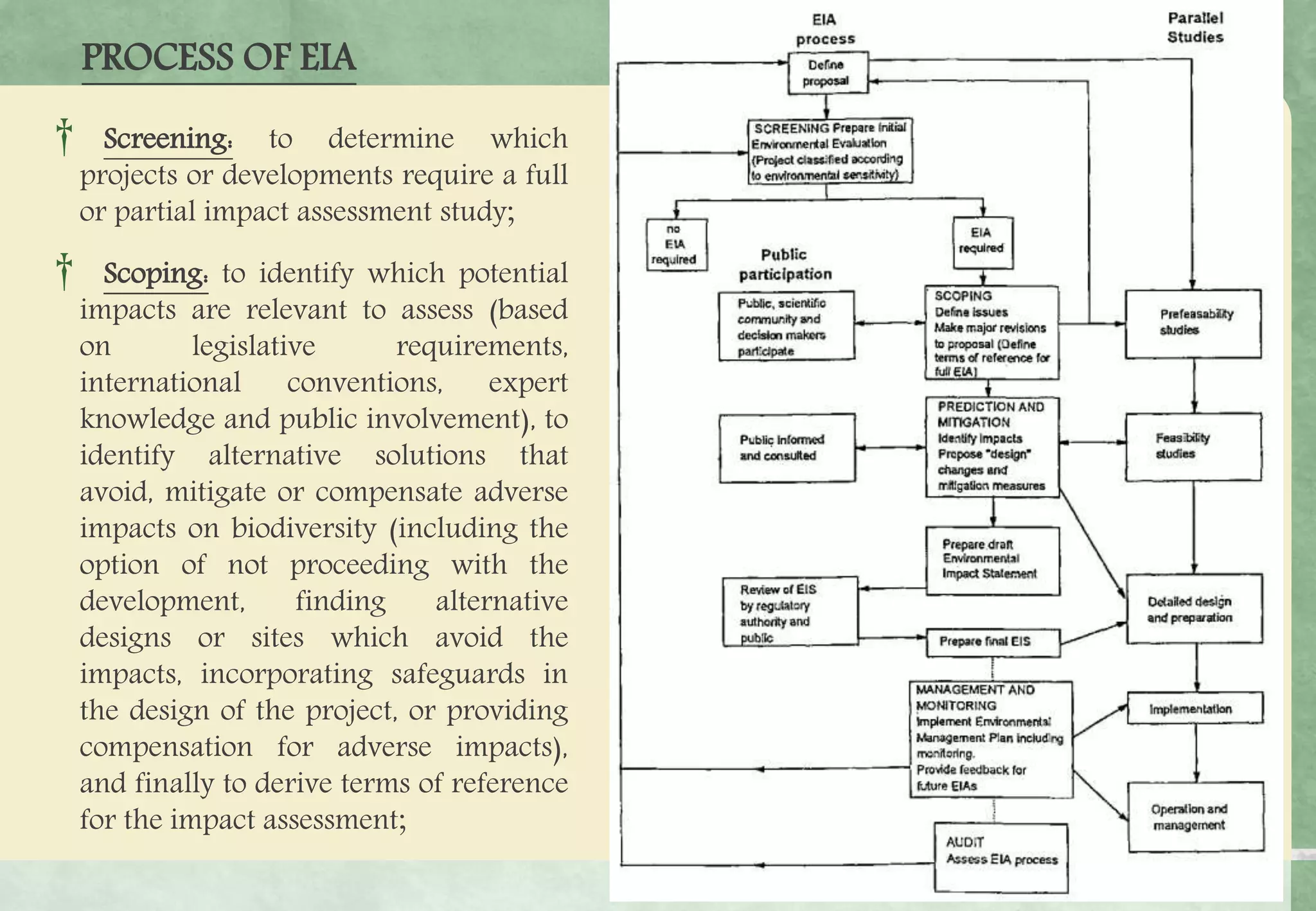 Environmental Impact Assessment(EIA) | PPSX