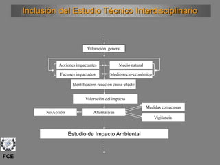 Inclusión del Estudio Técnico Interdisciplinario
Valoración general
Alternativas
Medidas correctoras
No Acción
Vigilancia
Acciones impactantes
Factores impactados
Identificación reacción causa-efecto
Medio natural
Medio socio-económico
Valoración del impacto
Estudio de Impacto Ambiental
FCE
 