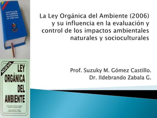 Prof. Suzuky M. Gómez Castillo.
Dr. Ildebrando Zabala G.
 