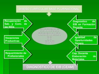 Recuperación de Sab. y Conc. de las NIOs Vocaciones Productivas Requerimiento de Profesionales Diagnostico de EIB en Formación Docente  Igualdad de Oportunidades Genero Cap. Docente Elaboración de Materiales . 