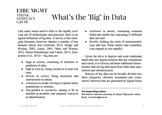 What’s the ’Big’ in Data
© 2017 EIBE MGMT
 15
| DATA-DRIVEN BUSINESS DEVELOPMENT |
 