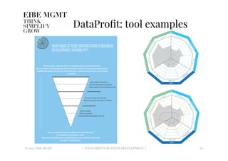 DataProﬁt: tool examples
© 2017 EIBE MGMT
 | DATA-DRIVEN BUSINESS DEVELOPMENT |
 20
 