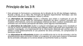 Principio de las 3 R
• Este principio lo formularon a comienzos de la década de los 60 dos biólogos ingleses,
Russell y Burch, en su libro The Principle of Humane Experimental Technique. Las tres
erres hacen referencia a reemplazar, reducir y refinar.
• Las alternativas de reemplazo aluden a métodos que eviten o sustituyan el uso de
animales. Esto incluye tanto los reemplazos absolutos (es decir, sustituir animales por
modelos informáticos), como los reemplazos relativos (es decir, sustituir vertebrados, por
animales con una menor percepción del dolor, como algunos invertebrados).
• Las alternativas de reducción aluden a cualquier estrategia que tenga como resultado el
uso de un menor número de animales para obtener datos suficientes que respondan a la
cuestión investigada, o la maximización de la información obtenida por animal, para así
limitar o evitar potencialmente el uso posterior de otros animales, sin comprometer el
bienestar animal.
• Las alternativas de refinamiento aluden a la modificación de la cría de animales o de los
procedimientos para minimizar el dolor y la angustia, así como para mejorar el bienestar
de los animales utilizados en la ciencia desde su nacimiento hasta su muerte.
 
