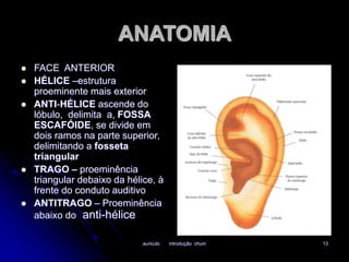 ANATOMIA 
auriculo introdução chum 13 
 FACE ANTERIOR 
 HÉLICE –estrutura 
proeminente mais exterior 
 ANTI-HÉLICE ascende do 
lóbulo, delimita a, FOSSA 
ESCAFÓIDE, se divide em 
dois ramos na parte superior, 
delimitando a fosseta 
triangular 
 TRAGO – proeminência 
triangular debaixo da hélice, à 
frente do conduto auditivo 
 ANTITRAGO – Proeminência 
abaixo do anti-hélice 
 