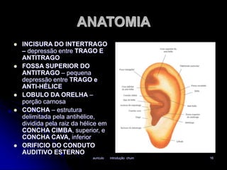 ANATOMIA 
 INCISURA DO INTERTRAGO 
– depressão entre TRAGO E 
ANTITRAGO 
auriculo introdução chum 16 
 FOSSA SUPERIOR DO 
ANTITRAGO – pequena 
depressão entre TRAGO e 
ANTI-HÉLICE 
 LOBULO DA ORELHA – 
porção carnosa 
 CONCHA – estrutura 
delimitada pela antihélice, 
dividida pela raiz da hélice em 
CONCHA CIMBA, superior, e 
CONCHA CAVA, inferior 
 ORIFICIO DO CONDUTO 
AUDITIVO ESTERNO 
 