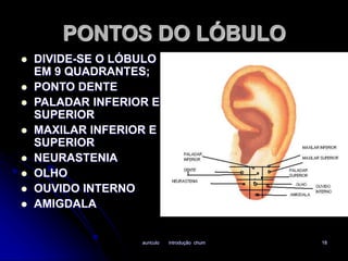 PONTOS DO LÓBULO 
 DIVIDE-SE O LÓBULO 
EM 9 QUADRANTES; 
auriculo introdução chum 18 
 PONTO DENTE 
 PALADAR INFERIOR E 
SUPERIOR 
 MAXILAR INFERIOR E 
SUPERIOR 
 NEURASTENIA 
 OLHO 
 OUVIDO INTERNO 
 AMIGDALA 
 