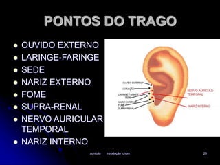 PONTOS DO TRAGO 
 OUVIDO EXTERNO 
 LARINGE-FARINGE 
auriculo introdução chum 20 
 SEDE 
 NARIZ EXTERNO 
 FOME 
 SUPRA-RENAL 
 NERVO AURICULAR 
TEMPORAL 
 NARIZ INTERNO 
 