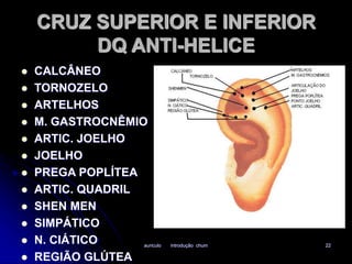 CRUZ SUPERIOR E INFERIOR 
DQ ANTI-HELICE 
auriculo introdução chum 22 
 CALCÂNEO 
 TORNOZELO 
 ARTELHOS 
 M. GASTROCNÊMIO 
 ARTIC. JOELHO 
 JOELHO 
 PREGA POPLÍTEA 
 ARTIC. QUADRIL 
 SHEN MEN 
 SIMPÁTICO 
 N. CIÁTICO 
 REGIÃO GLÚTEA 
 