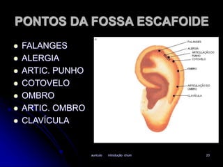 PONTOS DA FOSSA ESCAFOIDE 
auriculo introdução chum 23 
 FALANGES 
 ALERGIA 
 ARTIC. PUNHO 
 COTOVELO 
 OMBRO 
 ARTIC. OMBRO 
 CLAVÍCULA 
 