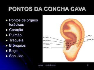 PONTOS DA CONCHA CAVA 
auriculo introdução chum 25 
 Pontos de órgãos 
torácicos 
 Coração 
 Pulmão 
 Traquéia 
 Brônquios 
 Baço 
 San Jiao 
 