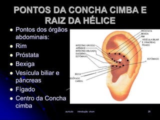 PONTOS DA CONCHA CIMBA E 
RAIZ DA HÉLICE 
 Pontos dos órgãos 
auriculo introdução chum 26 
abdominais: 
 Rim 
 Próstata 
 Bexiga 
 Vesícula biliar e 
pâncreas 
 Fígado 
 Centro da Concha 
cimba 
 