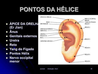 PONTOS DA HÉLICE 
auriculo introdução chum 28 
 ÁPICE DA ORELHA 
(Er Jian) 
 Ânus 
 Genitais externos 
 Uretra 
 Reto 
 Yang do Fígado 
 Pontos Hélix 
 Nervo occipital 
menor 
 