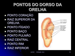 PONTOS DO DORSO DA 
ORELHA 
 PONTO CORAÇÃO 
 RAIZ SUPERIOR DA 
auriculo introdução chum 30 
ORELHA 
 PONTO FÍGADO 
 PONTO BAÇO 
 PONTO PULMÃO 
 RAIZ CENTRAL 
 PONTO RIM 
 RAIZ INFERIOR 
