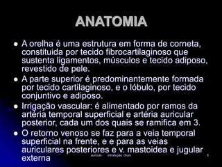 ANATOMIA 
 A orelha é uma estrutura em forma de corneta, 
constituida por tecido fibrocartilaginoso que 
sustenta ligamentos, músculos e tecido adiposo, 
revestido de pele. 
 A parte superior é predominantemente formada 
por tecido cartilaginoso, e o lóbulo, por tecido 
conjuntivo e adiposo. 
 Irrigação vascular: é alimentado por ramos da 
artéria temporal superficial e artéria auricular 
posterior, cada um dos quais se ramifica em 3. 
 O retorno venoso se faz para a veia temporal 
superficial na frente, e e para as veias 
auriculares posteriores e v. mastoidea e jugular 
externa 
auriculo introdução chum 5 
 