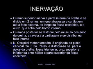 INERVAÇÃO 
 O ramo superior inerva a parte interna da orelha e se 
divide em 2 ramos, um que atravessa a cartilagem 
até a face externa, ao longo da fossa escafoide, e o 
outro que sobe pelo bordo interno. 
 O ramos posterior se distribui pelo músculo posterior 
da orelha, atravessa a cartilagem e se distribui na 
face interna 
 N. Occipital menor também é originado do plexo 
cervical, 2o. E 3o. Pares, e distribui-se na para o 
ápice da orelha, fossa triangular, cruz superior e 
inferior da ante-hélice e parte superior da fossa 
escafoide 
auriculo introdução chum 7 
 