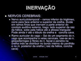 INERVAÇÃO 
 NERVOS CEREBRAIS: 
 Nervo auriculotemporal – ramos inferior do trigêmeo, 
corre para face anterior e superior da orelha, divide 
em ramos finos que inervam a parte anterior do 
conduto auditivo externo, trago, lado superior da raiz 
da hélice, sobe pela hélice até a afossa triangular. 
Pode ainda ir até o lóbulo da orelha e concha cava. 
 Ramo auricular do vago – Sai de um segmento do n. 
vago que acompanha a veias cervicais, use-se ao n. 
glossofaríngeo e fibras do n. facial e penetra na 
orelha indo se distribuir no bordo interno do pavilhão 
e no m. posterior da orelha ( raiz da hélice, concha 
cava) 
auriculo introdução chum 8 
 